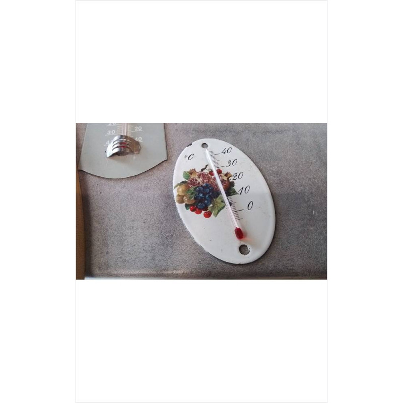 THERMOMETRE MÉTAL RAISIN
