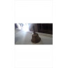 DECO CLOCHE LAITON PM