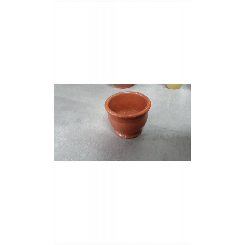 POT PM 