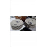 ASSIETTES A FONDUE ST AMAND X6 