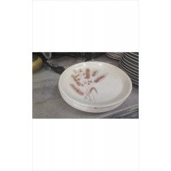 ASSIETTES LUNEVILLE LE LOT