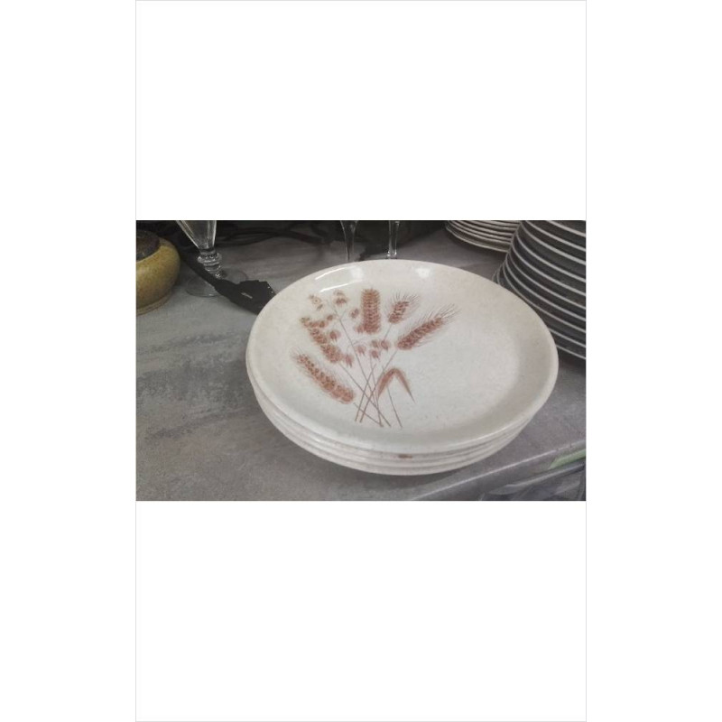 ASSIETTES LUNEVILLE LE LOT