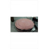 ASSIETTES ROSES X2 