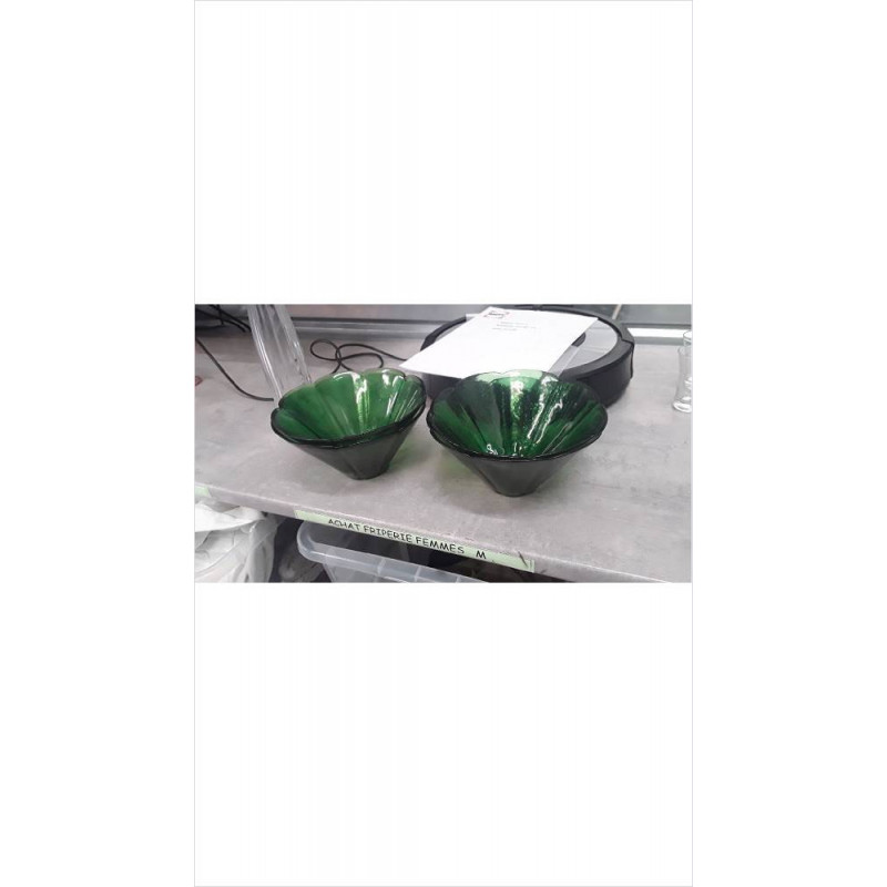 SALADIERS VERTS PM X2 