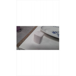 SALIERE PM 