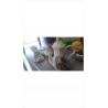 CAFETIERE 