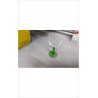 VERRE PIED VERT