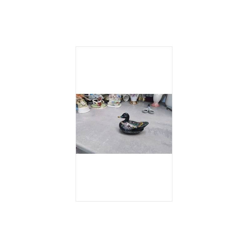 CANARD BOIS