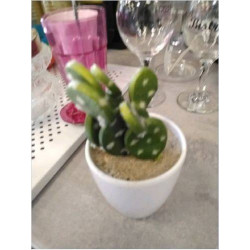 DECO CACTUS