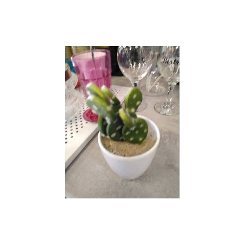 DECO CACTUS
