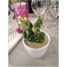 DECO CACTUS