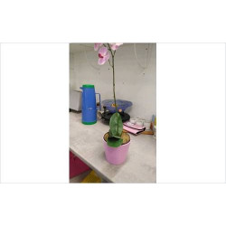 ORCHIDEE ARTIFICIELLE DANS...