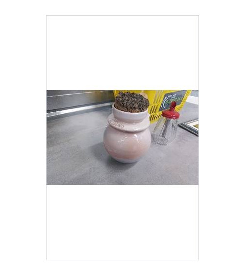 POT A OLIVES ROSE