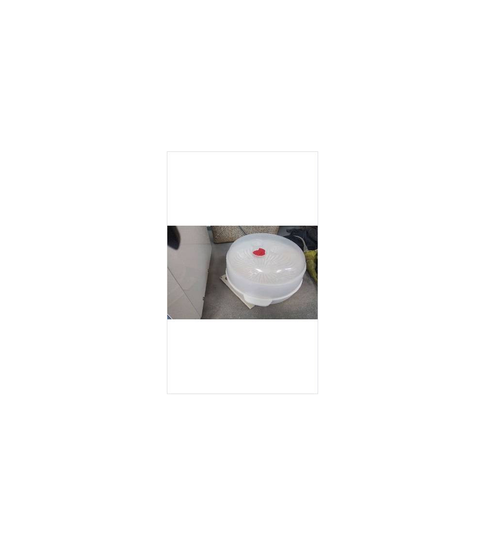 PLAT PLASTIQUE MO