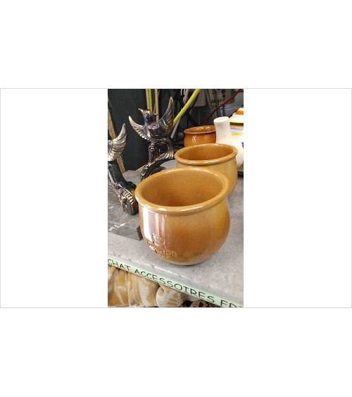 POT 