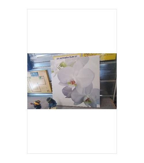 TOILE CARREE PM