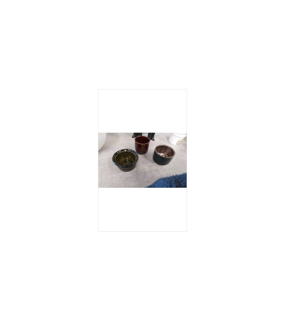 RAMEQUIN PM 
