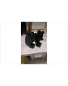 FIGURINES OBSIDIENNE LA PAIRE EN LETAT 