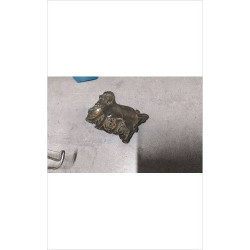 DECO CHIEN 