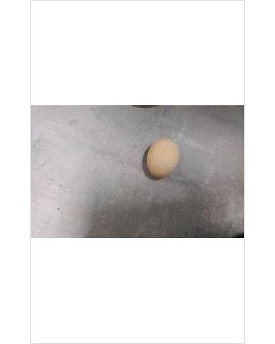 OEUF EN BOIS 