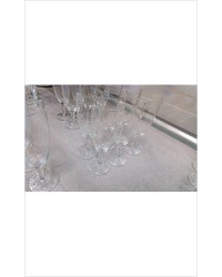 FLUTES X6 