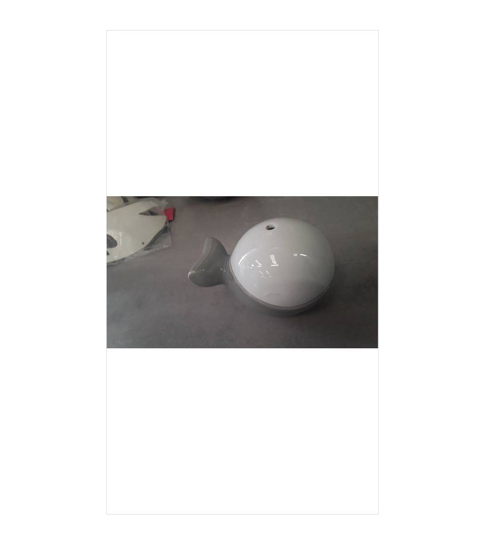 COQUETIER BALEINE