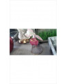 DECO CLOCHE EN L\'ÉTAT 