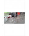 CARAFE 