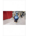 SOLIFLORE BLEU PM 