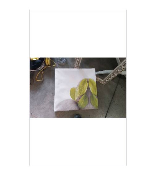 TOILE GALETS 