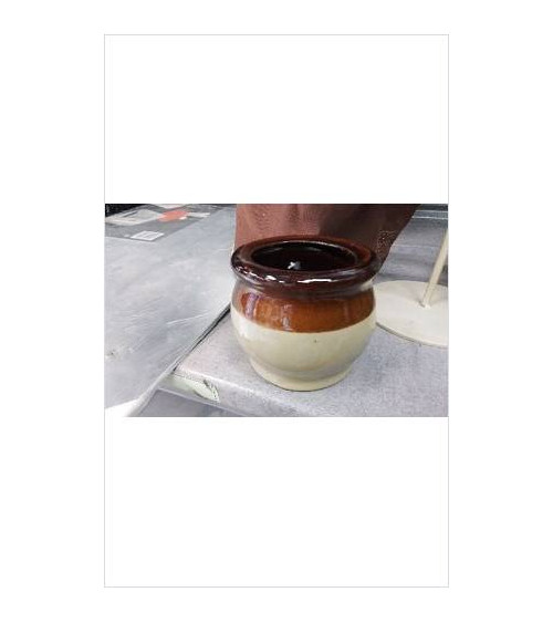 POT BICOLORE PM