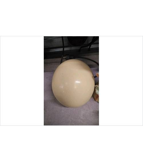 DECO OEUF AUTRUCHE