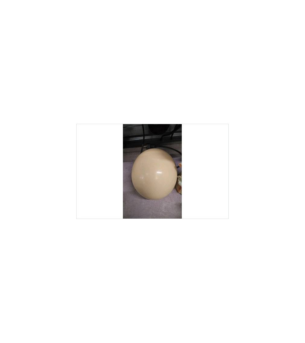 DECO OEUF AUTRUCHE