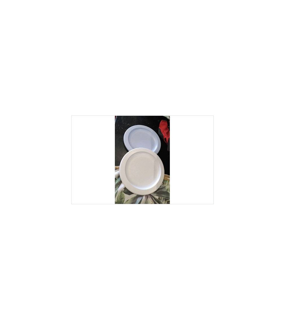 ASSIETTES PLASTIQUE X2 