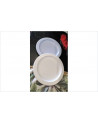 ASSIETTES PLASTIQUE X2 