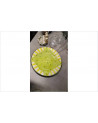 PLAT ROND JAUNE/ VERT