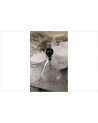 CARAFE BOUCHON NOIR
