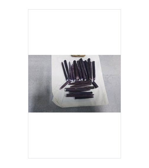 EPINES D\'OURSINS CRAYON LE...