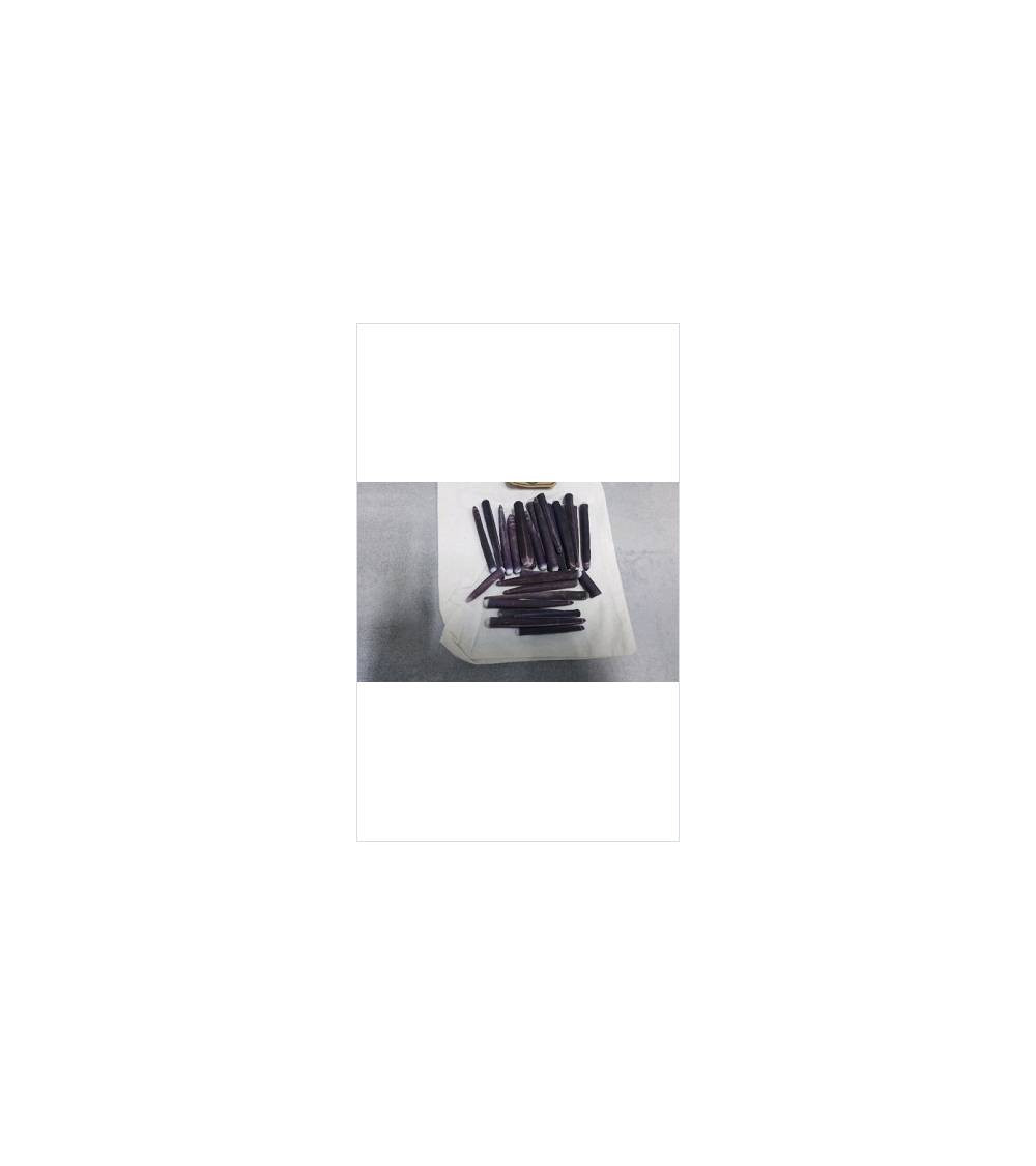 EPINES D\'OURSINS CRAYON LE LOT