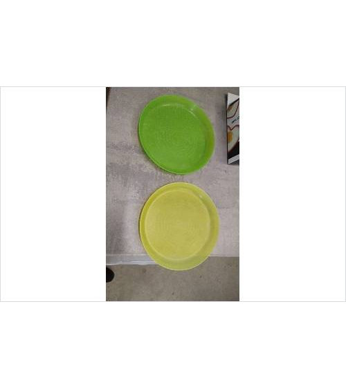 ASSIETTES PLASTIQUE X2 