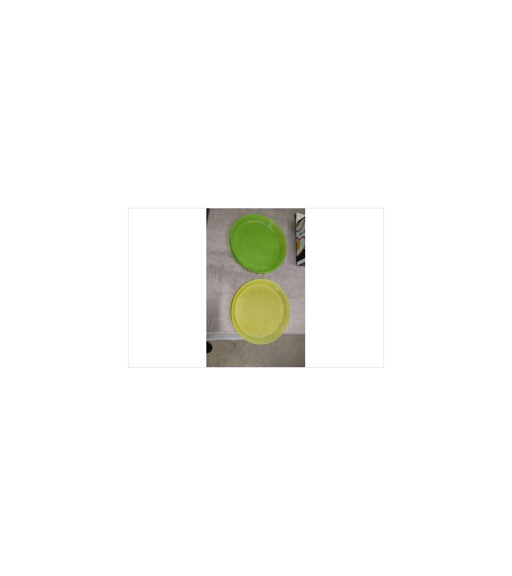 ASSIETTES PLASTIQUE X2 