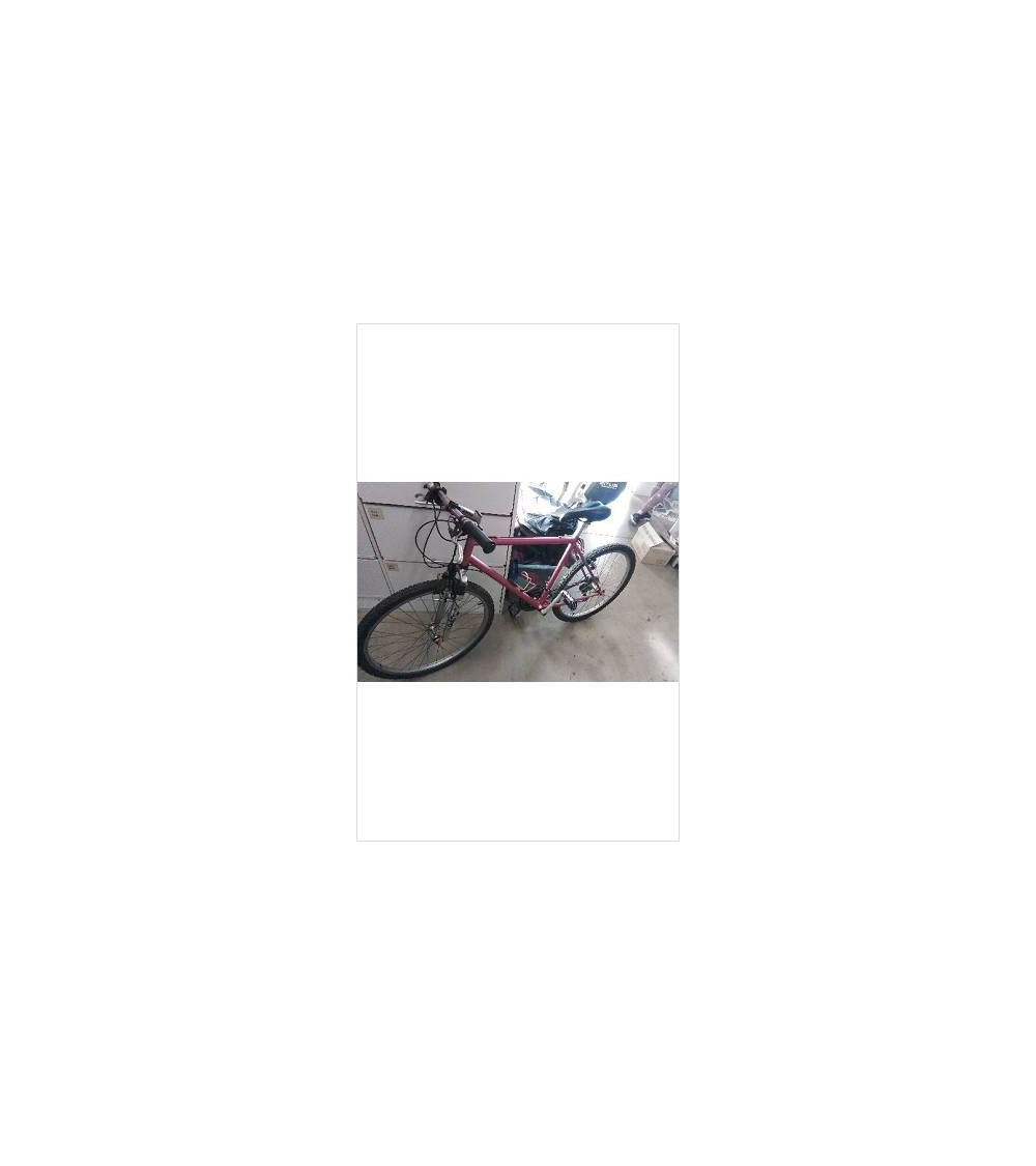 VELO ROSE