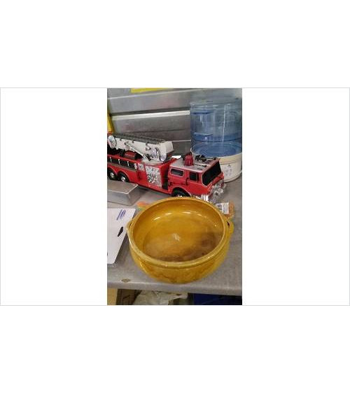 PLAT TERRE JAUNE 