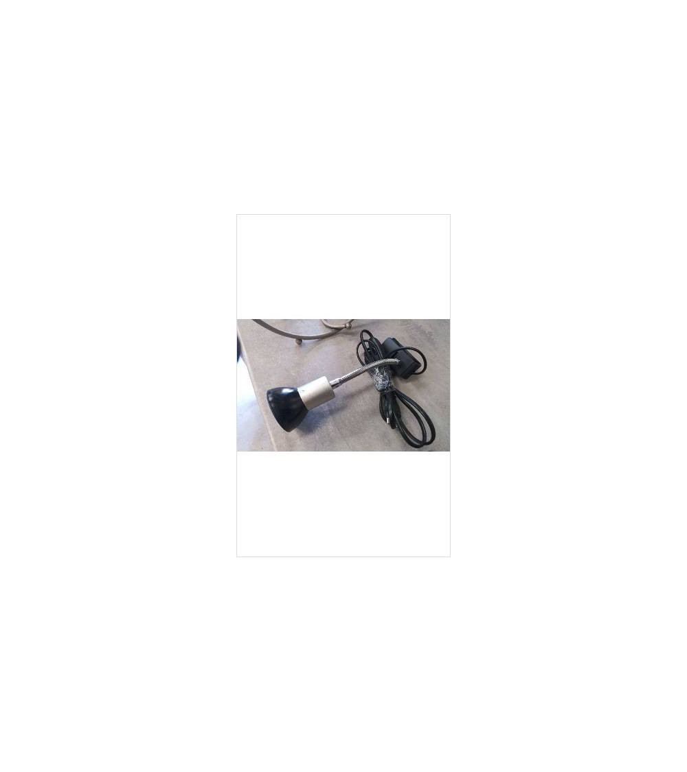 LAMPE A PINCE 