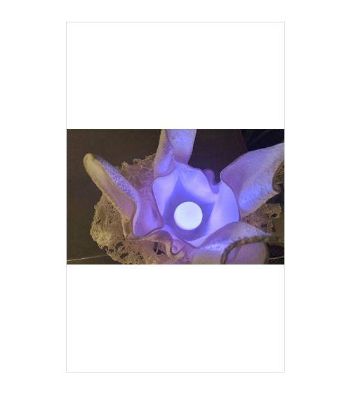AMPOULE MULTICOLORE + TEL