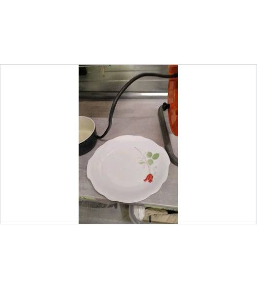 PLAT FLEUR ROUGE