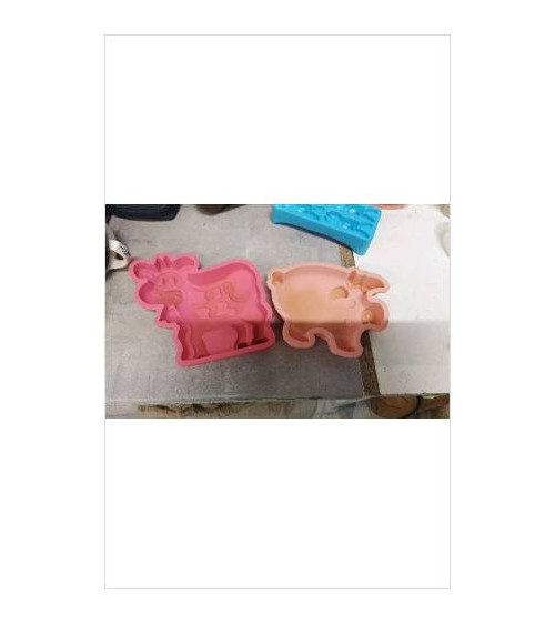 MOULES SILICONE X2 