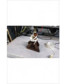 PIED DE LAMPE SABOTS 