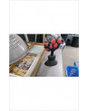 DECO FONTE 