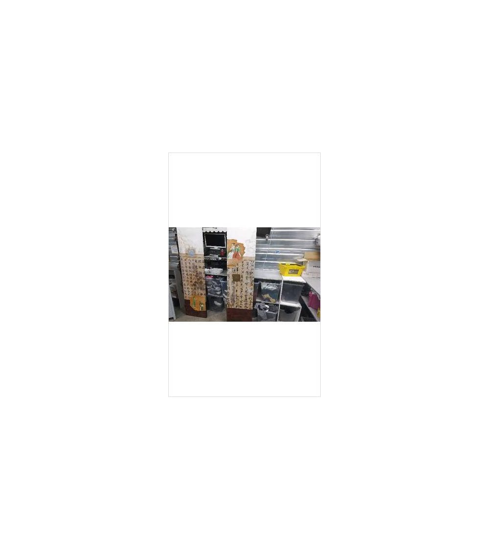 DECO PANNEAU ASIATIQUE CARRE DORE ( 200X50)